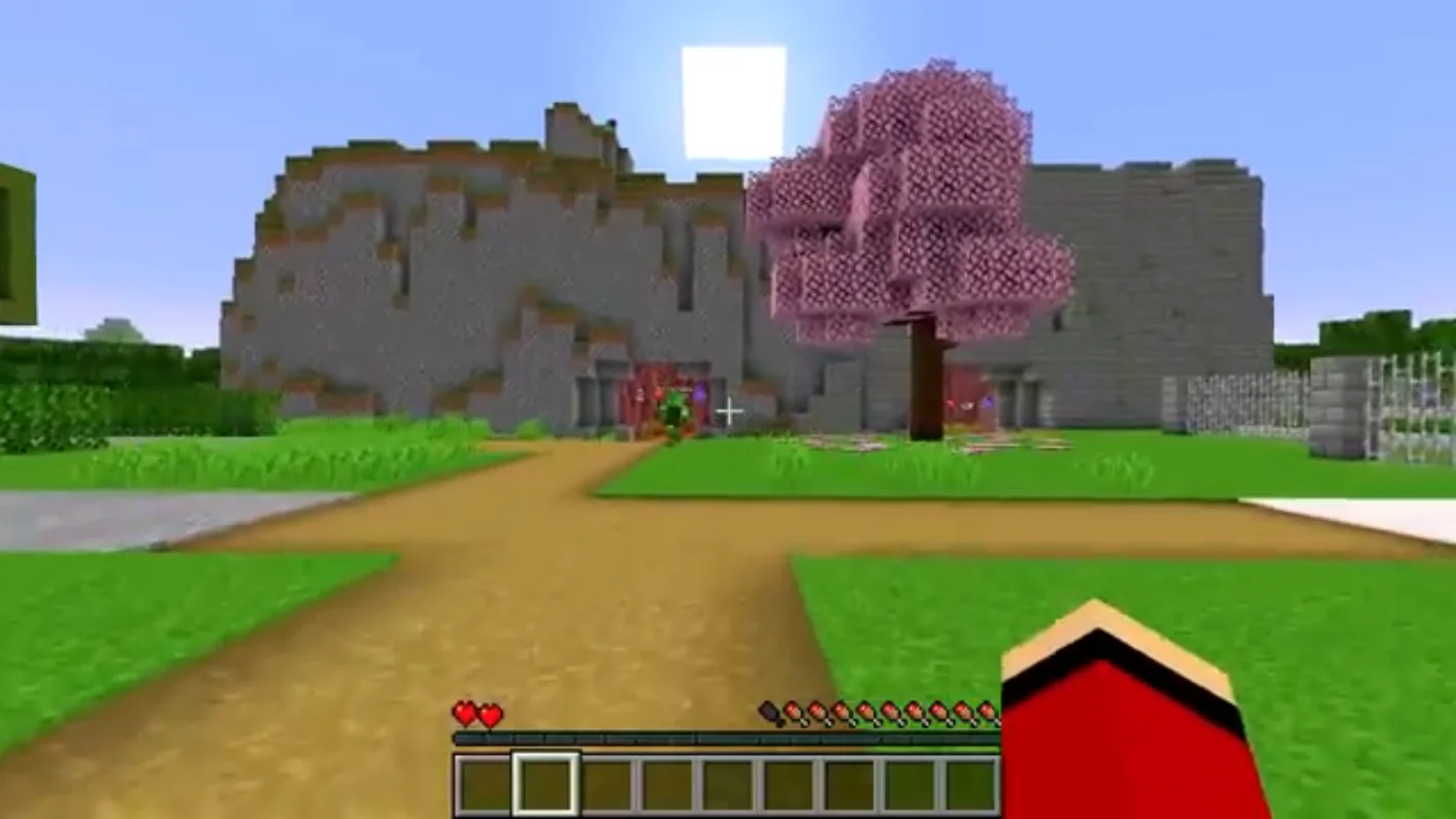 XRay and block ESP in Minecraft Java